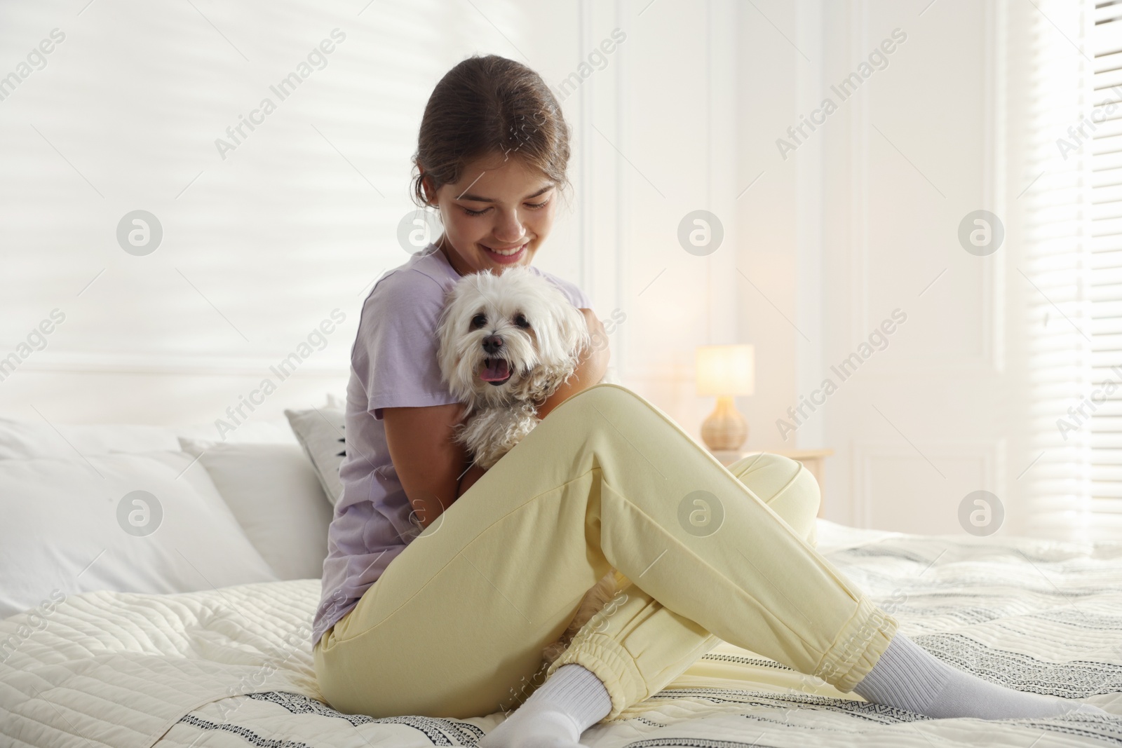 Happy teenage girl with cute Maltese dog on bed at home Photo of Happy teenage girl with cute Maltese dog on bed at home