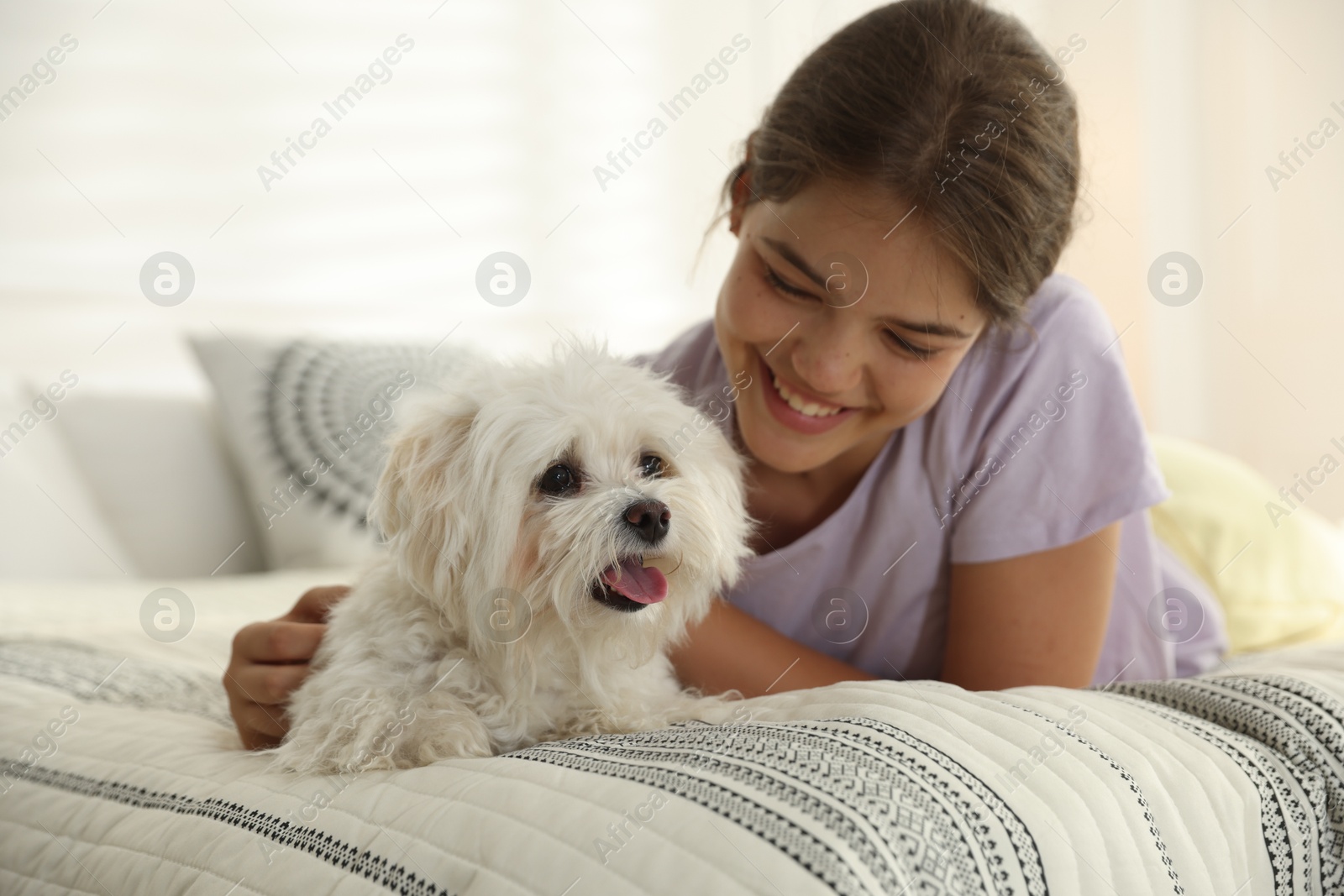 Happy teenage girl with cute Maltese dog on bed at home Photo of Happy teenage girl with cute Maltese dog on bed at home