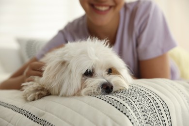 Photo of Happy teenage girl with cute Maltese dog on bed at home, closeup