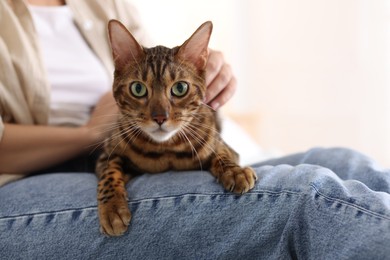 Photo of Woman with cute Bengal cat at home, closeup. Adorable pet