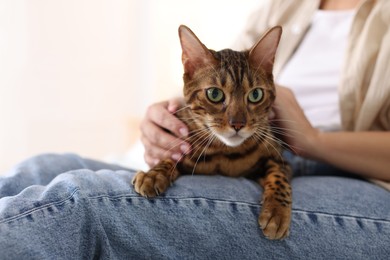 Photo of Woman with cute Bengal cat at home, closeup. Adorable pet