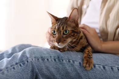 Photo of Woman with cute Bengal cat at home, closeup. Adorable pet