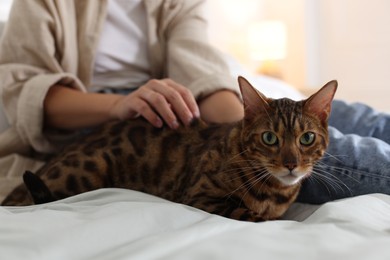 Photo of Woman with cute Bengal cat on bed at home, closeup. Adorable pet
