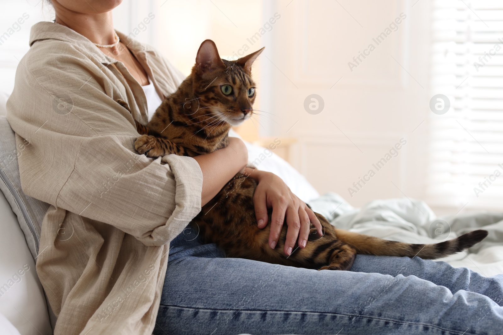 Woman with cute Bengal cat on bed at home, closeup. Adorable pet Photo of Woman with cute Bengal cat on bed at home, closeup. Adorable pet