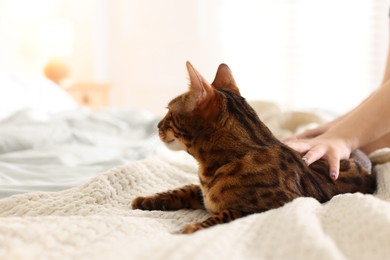 Photo of Woman with cute Bengal cat on bed at home, closeup. Adorable pet