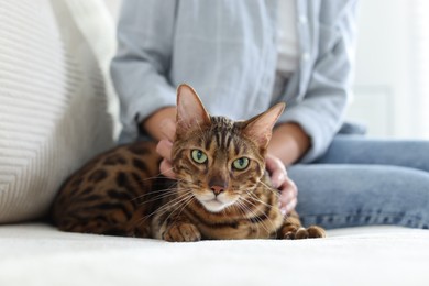 Photo of Woman with cute Bengal cat on sofa at home, closeup. Adorable pet