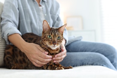 Photo of Woman with cute Bengal cat on sofa at home, closeup. Adorable pet