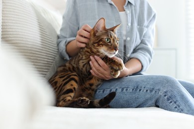 Photo of Woman with cute Bengal cat on sofa at home, closeup. Adorable pet
