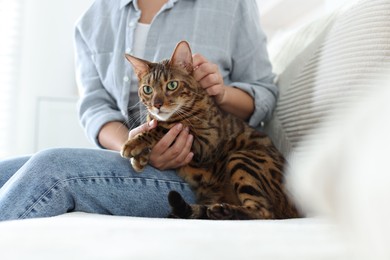 Photo of Woman with cute Bengal cat on sofa at home, closeup. Adorable pet