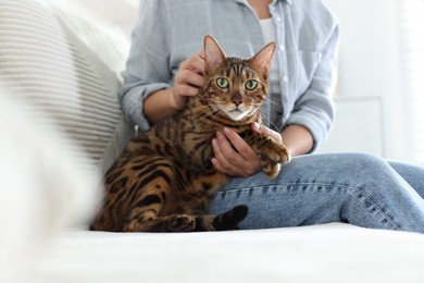 Photo of Woman with cute Bengal cat on sofa at home, closeup. Adorable pet