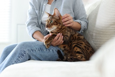 Photo of Woman with cute Bengal cat on sofa at home, closeup. Adorable pet