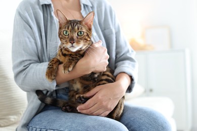 Photo of Woman with cute Bengal cat on sofa at home, closeup. Adorable pet