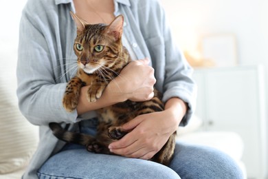Photo of Woman with cute Bengal cat on sofa at home, closeup. Adorable pet