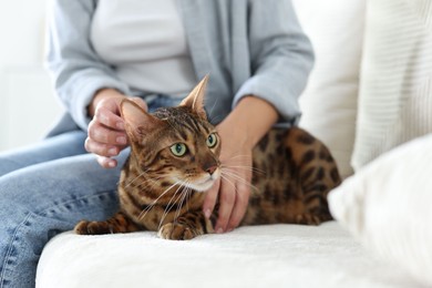 Photo of Woman with cute Bengal cat on sofa at home, closeup. Adorable pet