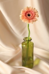 Photo of Beautiful gerbera flower in glass vase on beige cloth, closeup