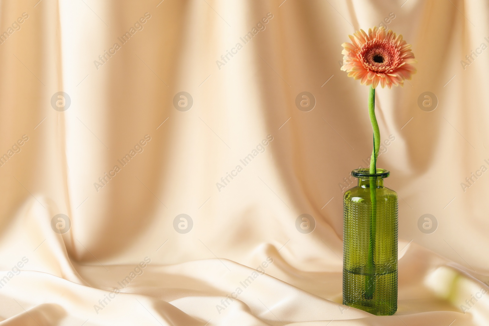 Photo of Beautiful gerbera flower in glass vase on beige cloth, space for text