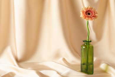 Photo of Beautiful gerbera flower in glass vase on beige cloth, space for text