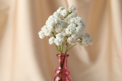 Photo of Beautiful gypsophila flowers in glass vase against beige cloth, closeup