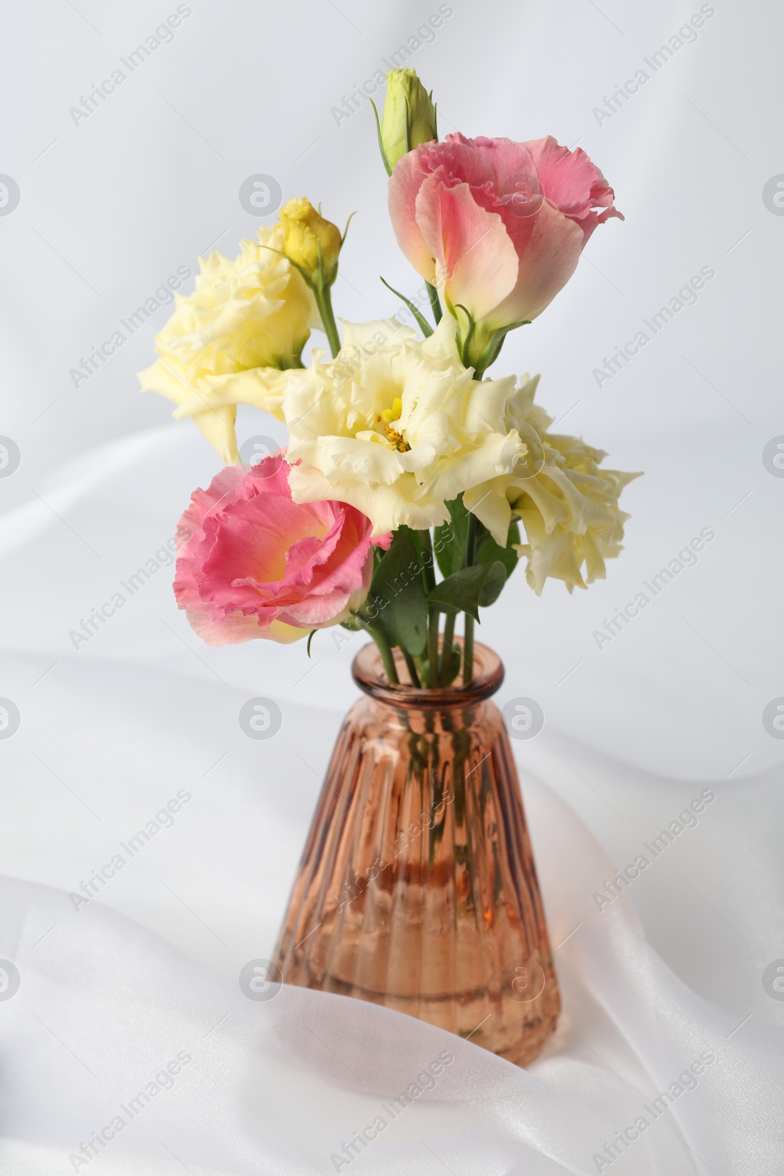 Photo of Beautiful flowers in glass vase on white cloth, closeup