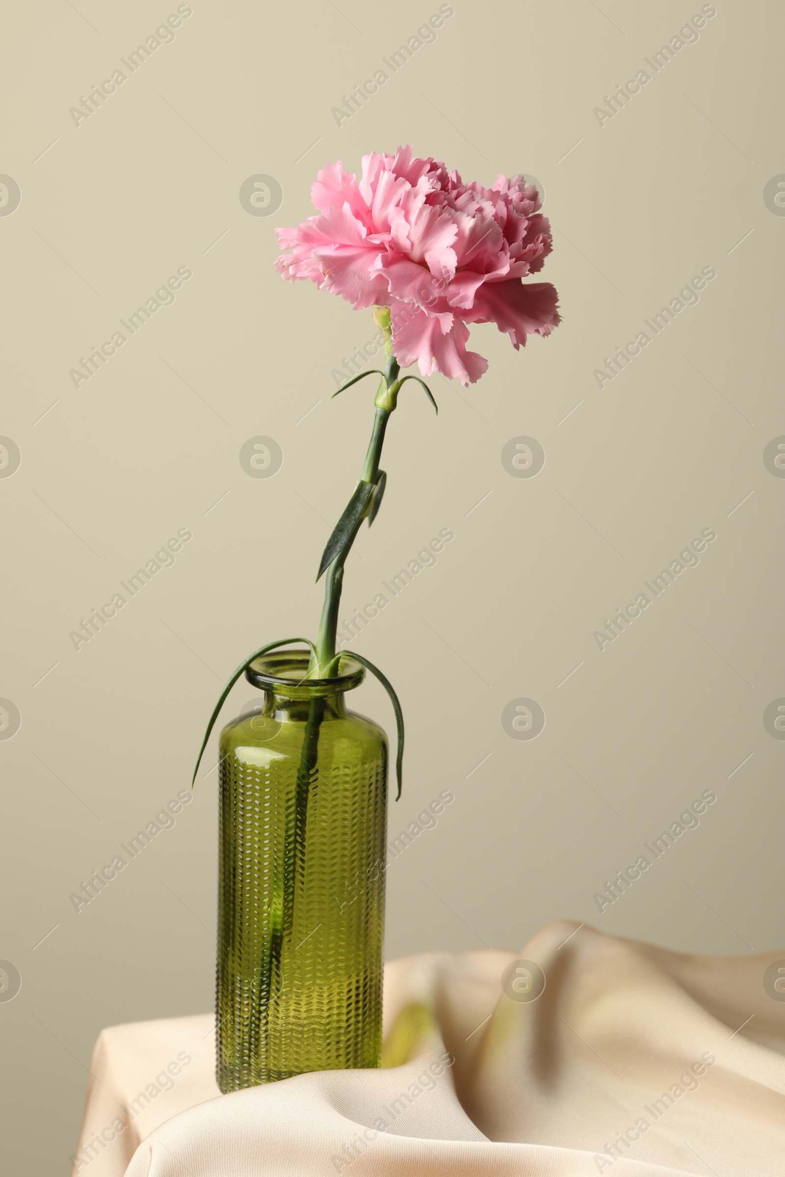 Photo of Beautiful flower in glass vase on beige cloth against light background