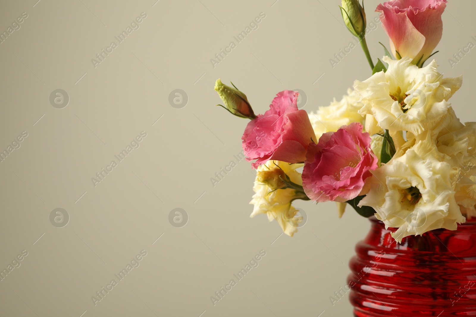 Photo of Beautiful flowers in glass vase on beige background, closeup. Space for text