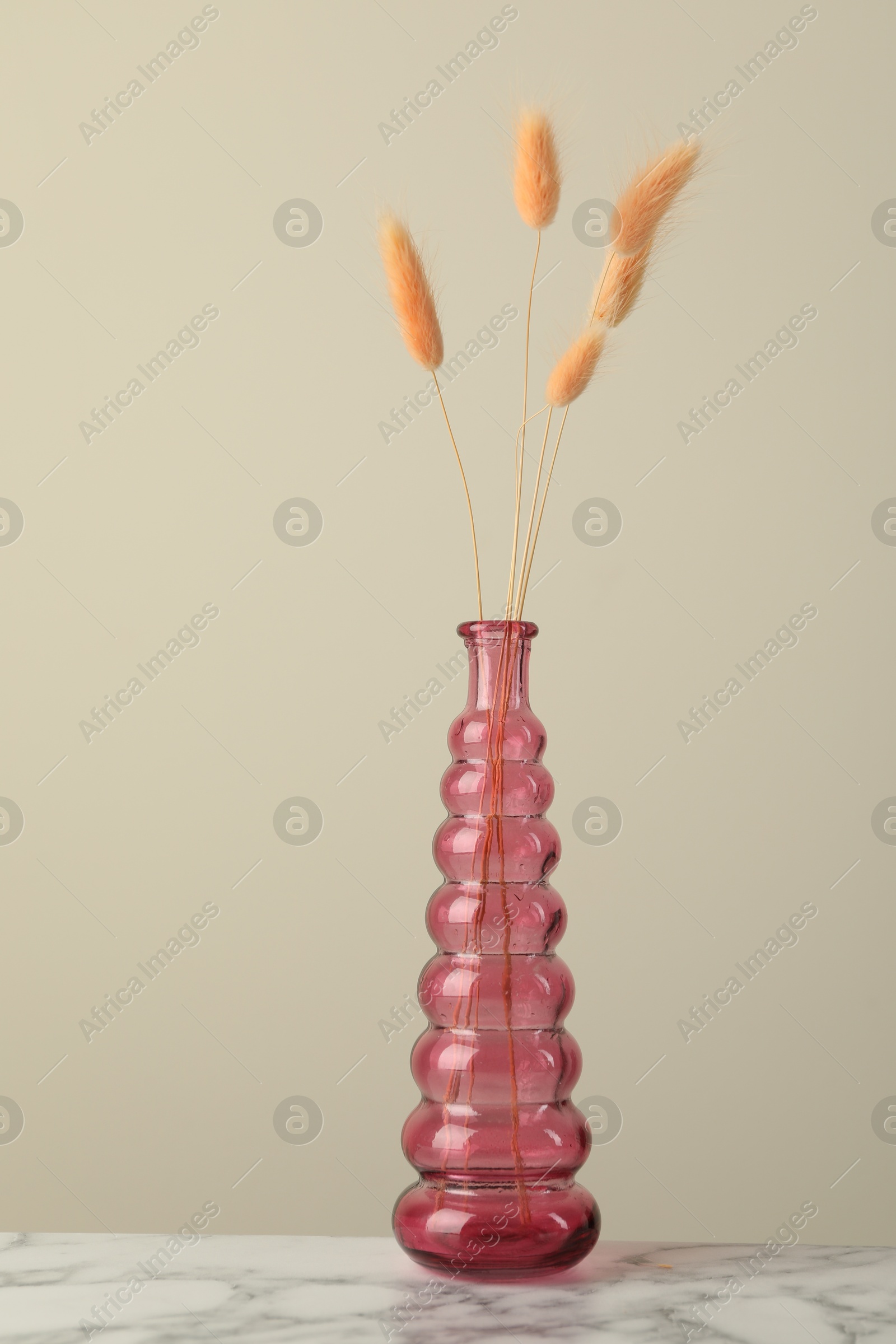 Dry spikes in glass vase on white marble table against beige background Photo of Dry spikes in glass vase on white marble table against beige background