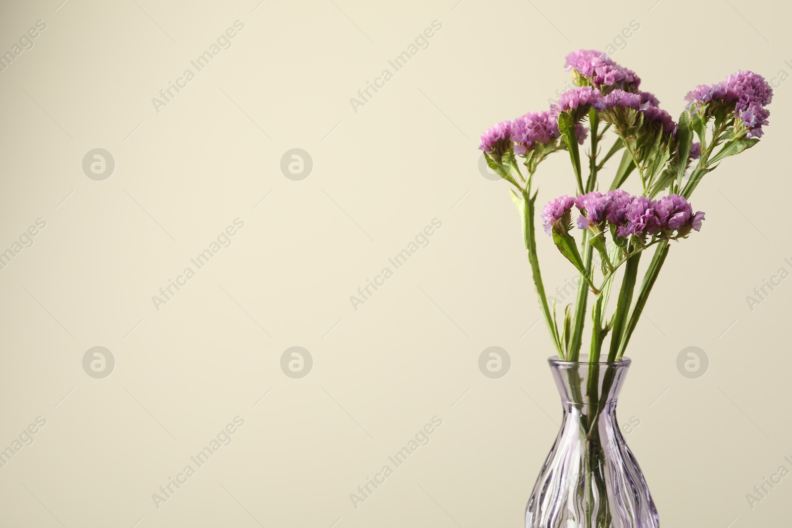 Photo of Beautiful flowers in glass vase against beige background, closeup. Space for text
