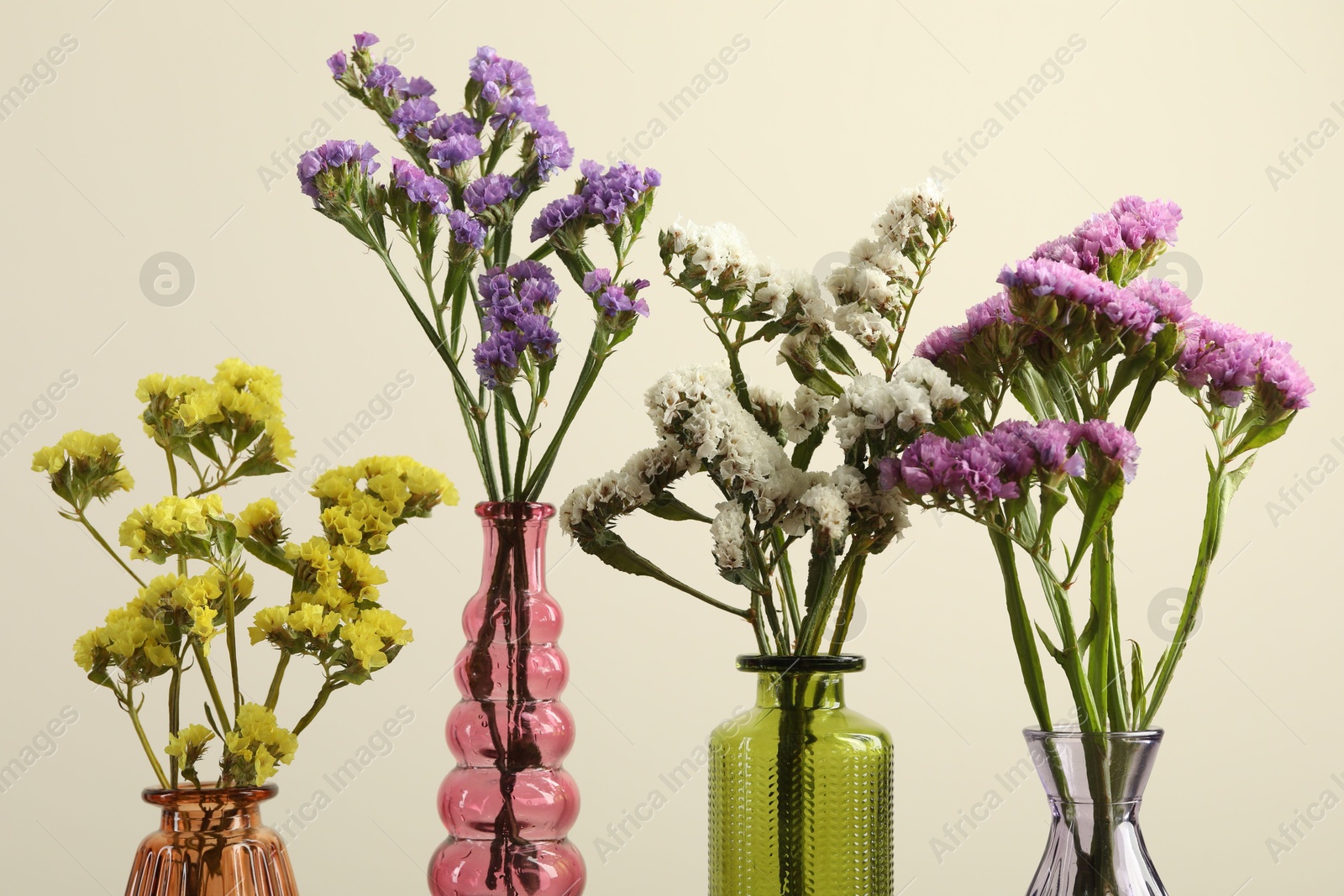 Beautiful flowers in glass vases against beige background, closeup Photo of Beautiful flowers in glass vases against beige background, closeup