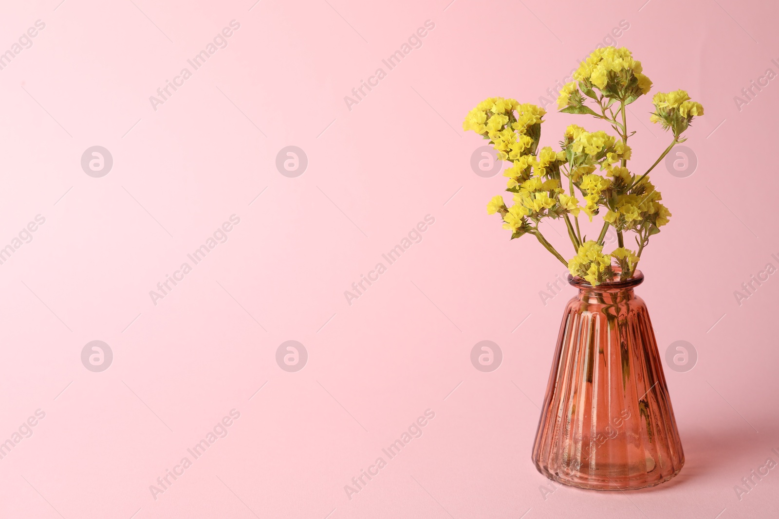 Beautiful flowers in glass vase on pink background, space for text Photo of Beautiful flowers in glass vase on pink background, space for text