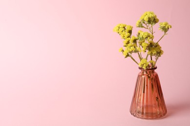 Photo of Beautiful flowers in glass vase on pink background, space for text