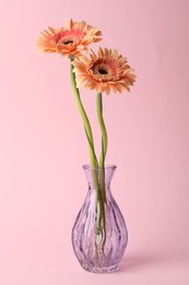 Photo of Beautiful flowers in glass vase on pink background