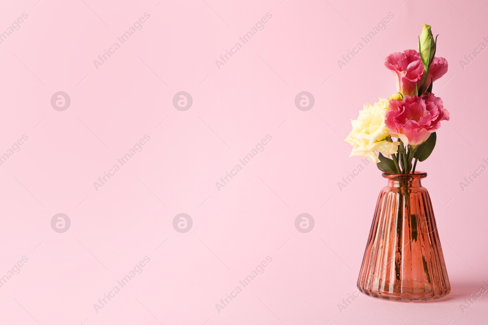 Beautiful flowers in glass vase on pink background, space for text Photo of Beautiful flowers in glass vase on pink background, space for text