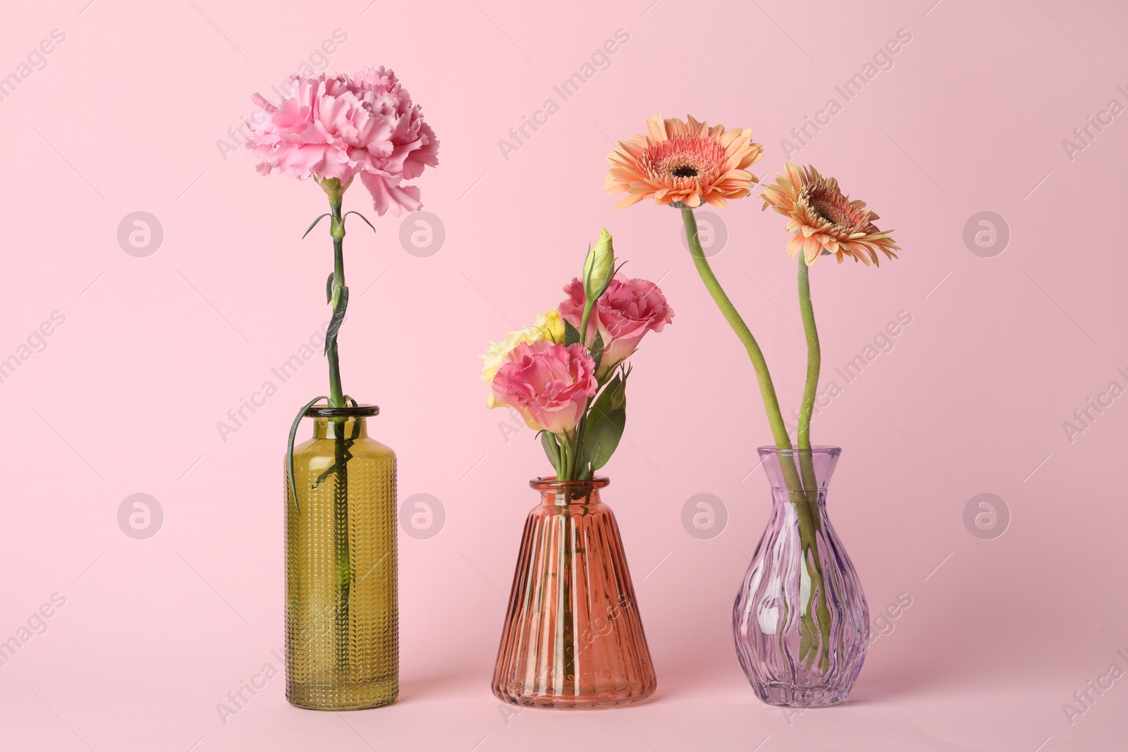 Beautiful flowers in glass vases on pink background Photo of Beautiful flowers in glass vases on pink background