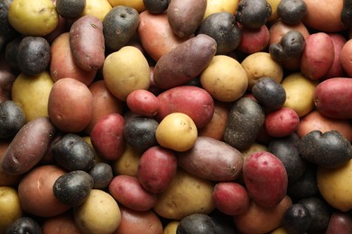 Photo of Different types of potatoes as background, top view