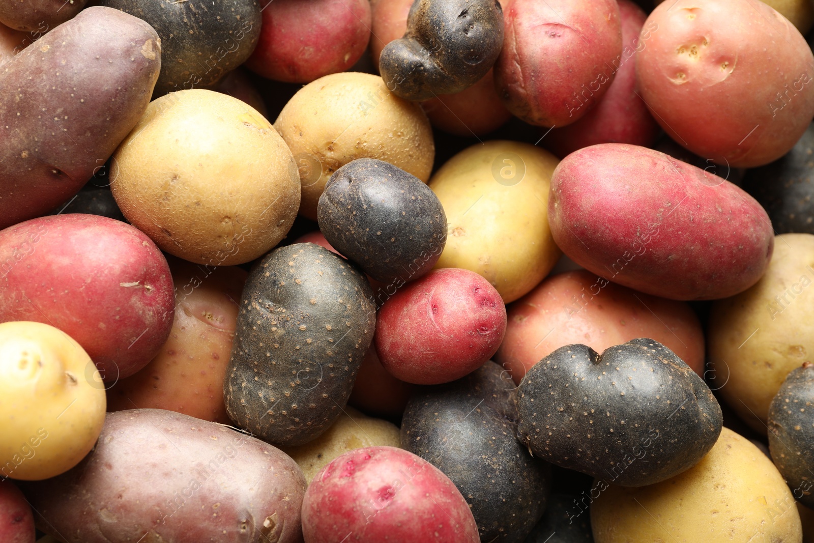 Photo of Different types of potatoes as background, top view