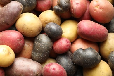 Photo of Different types of potatoes as background, top view