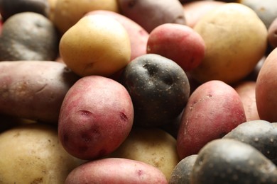 Photo of Different types of potatoes as background, closeup