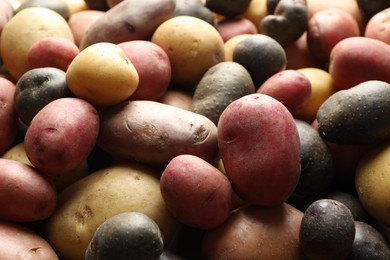 Photo of Different types of potatoes as background, closeup