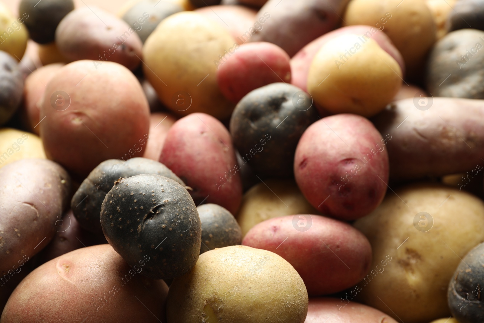 Photo of Different types of potatoes as background, closeup