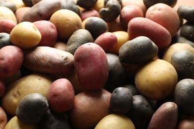 Photo of Different types of potatoes as background, closeup