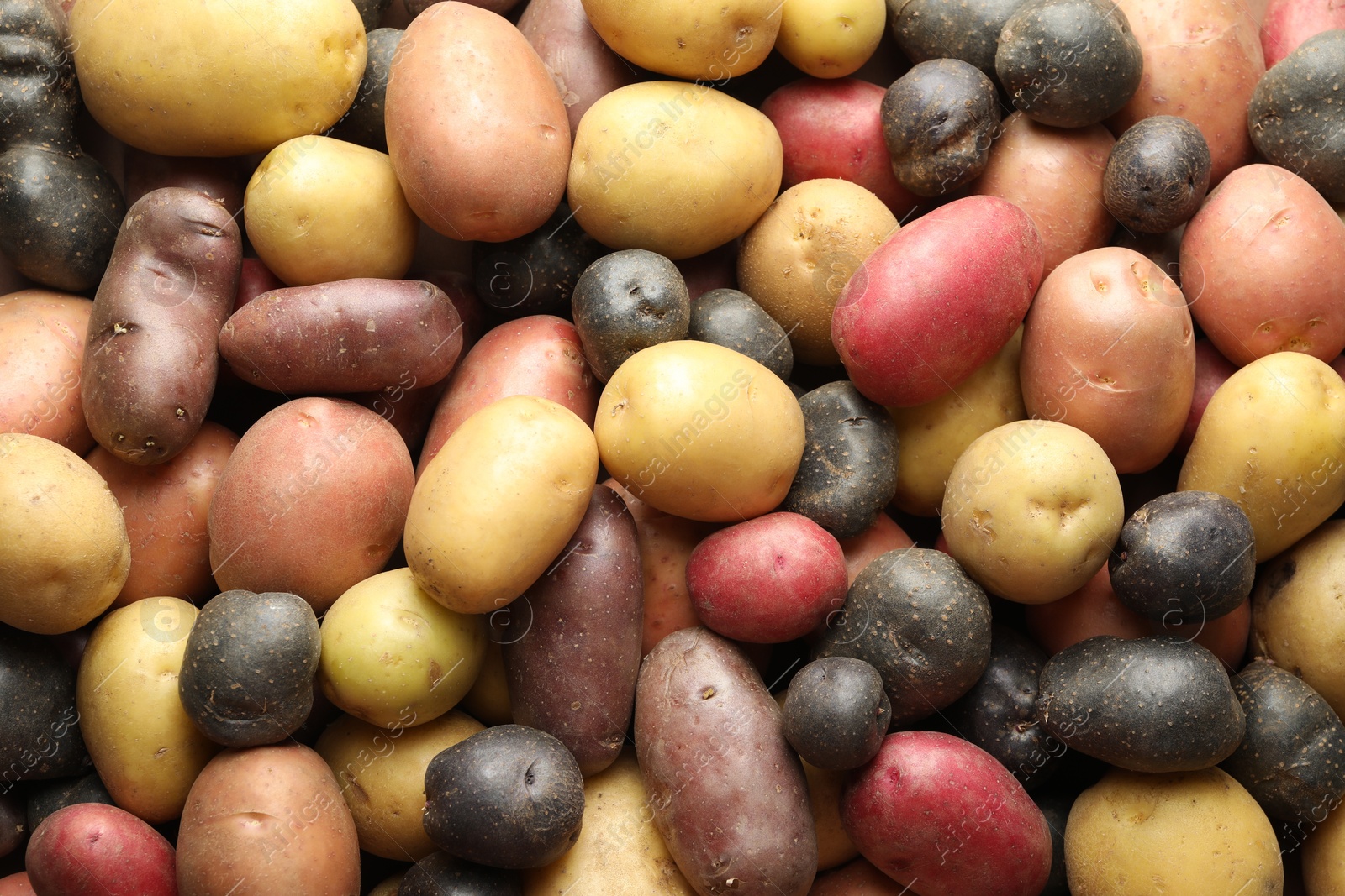Photo of Different types of potatoes as background, top view