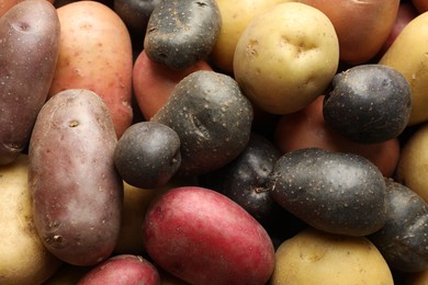 Photo of Different types of potatoes as background, top view