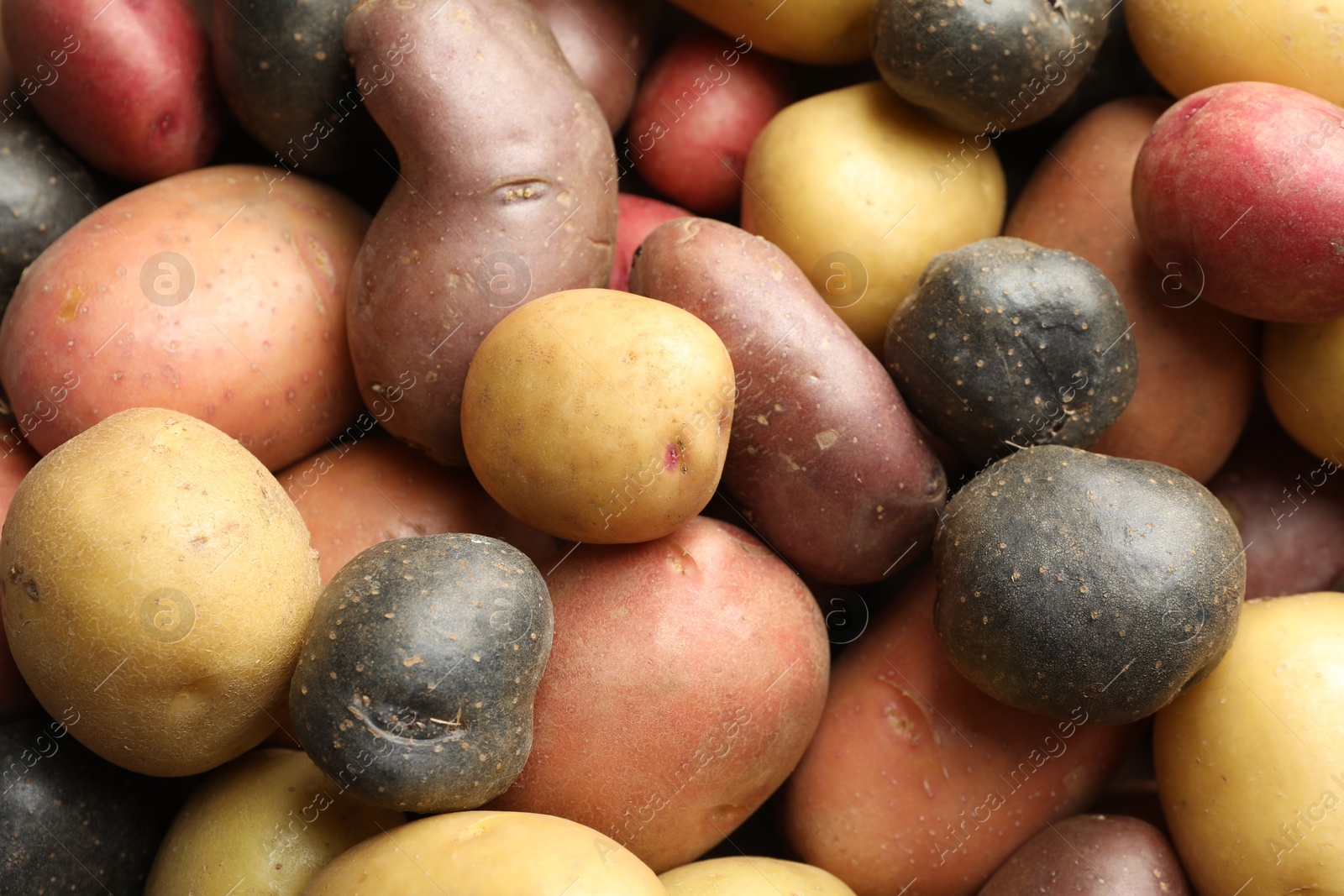 Photo of Different types of potatoes as background, top view