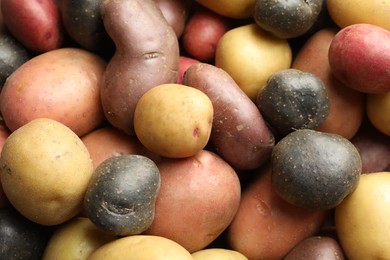 Photo of Different types of potatoes as background, top view