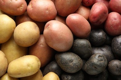Photo of Different types of potatoes as background, top view