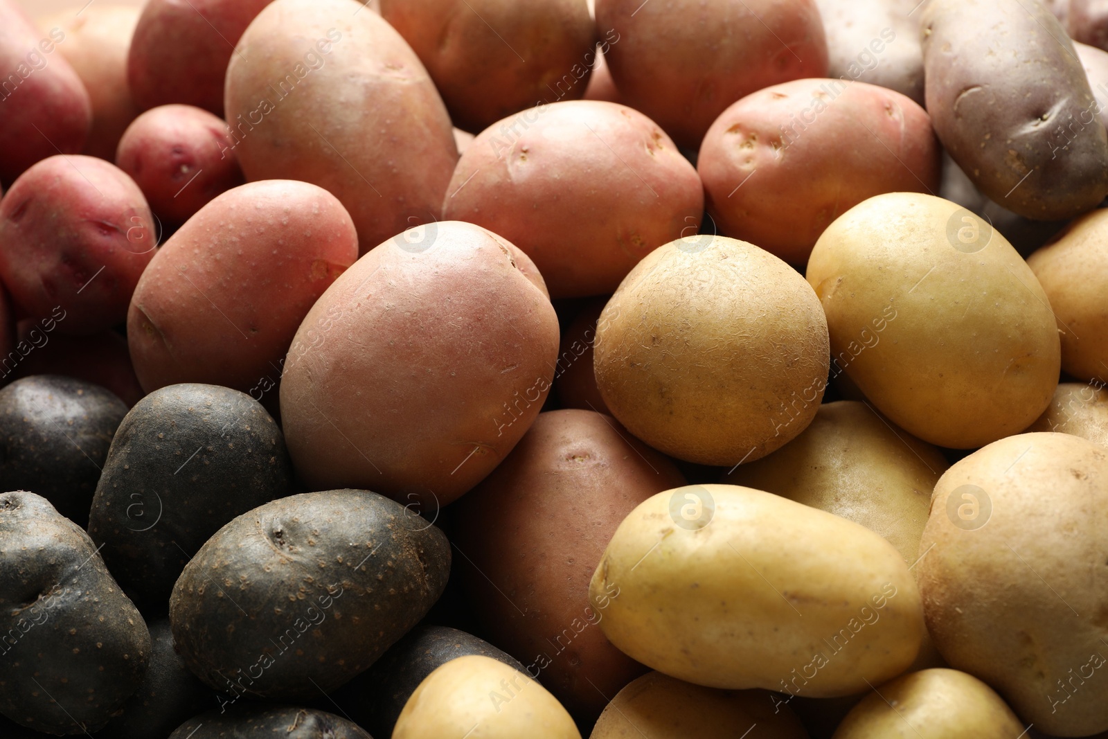 Photo of Different types of potatoes as background, closeup