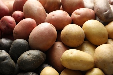 Photo of Different types of potatoes as background, closeup