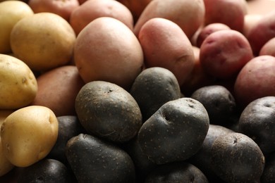 Photo of Different types of potatoes as background, closeup