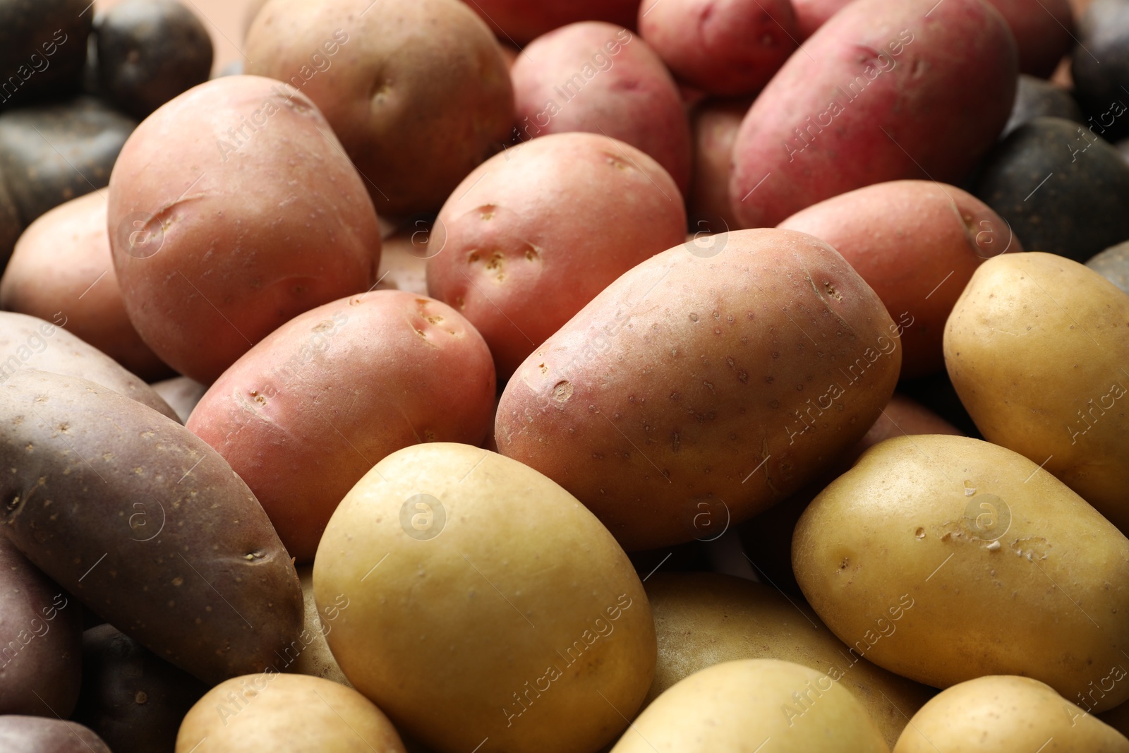 Photo of Different types of potatoes as background, closeup