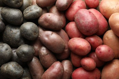Photo of Different types of potatoes as background, top view